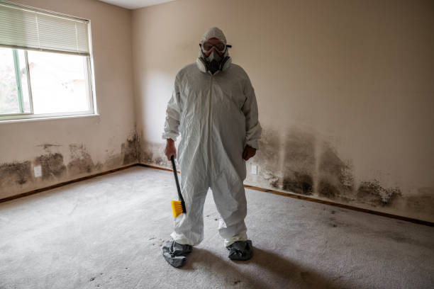 Best Professional Mold Removal  in Union Park, FL
